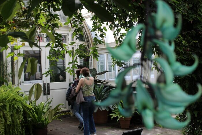 Visitors walk through the rainforest in the Haupt Conservatory at the New York Botanical Garden in the Bronx on Wednesday, May 17, 2023.