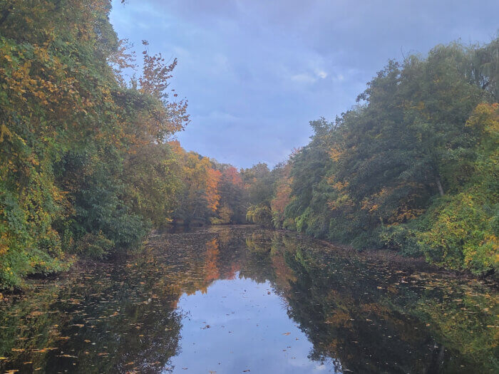 Journey down the Bronx River through free community paddling events hosted by the Bronx River Alliance.