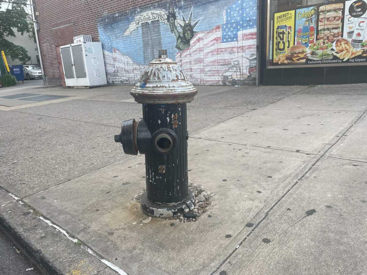 An open fire hydrant is seen on E. Tremont Avenue in Throggs Neck on Friday, June 9, 2023.
