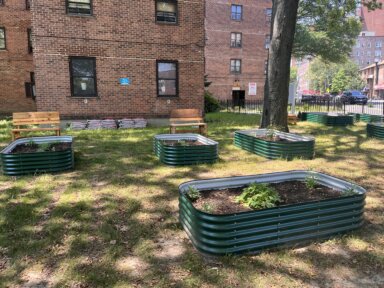 plants in bins on a lawn at Pelham Parkway Houses