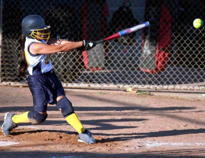 The Franz Sigel Park ball fields will close starting Wednesday, July 26, 2023, for reconstruction.