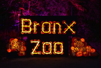 Pumpkin Nights is a new addition to the Halloween season at the Bronx Zoo this fall.