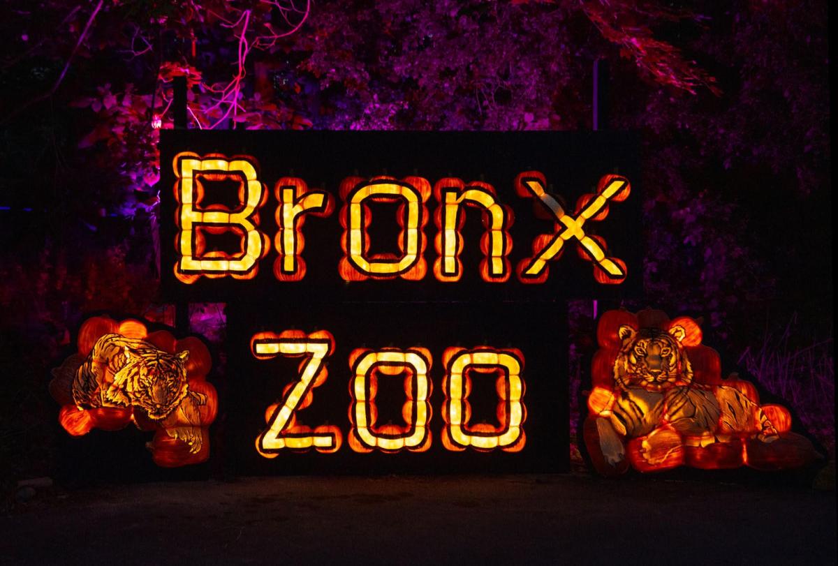 Pumpkin Nights is a new addition to the Halloween season at the Bronx Zoo this fall.