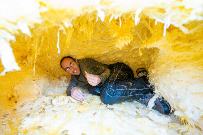 This is no cave, this is an unimaginably large pumpkin capable of enveloping an entire person.