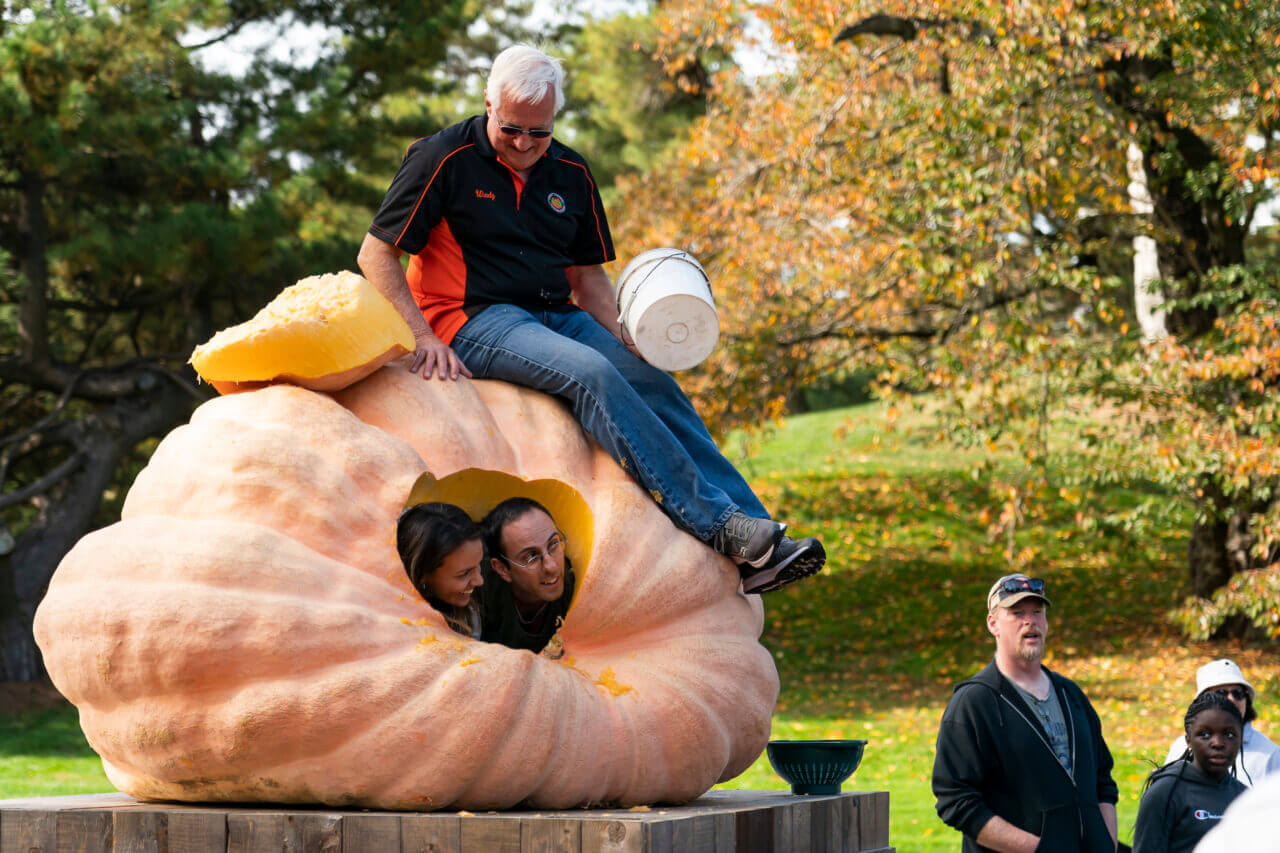 What’s Happening Halloween at the Bronx Zoo, Comedy Nights at Clinton