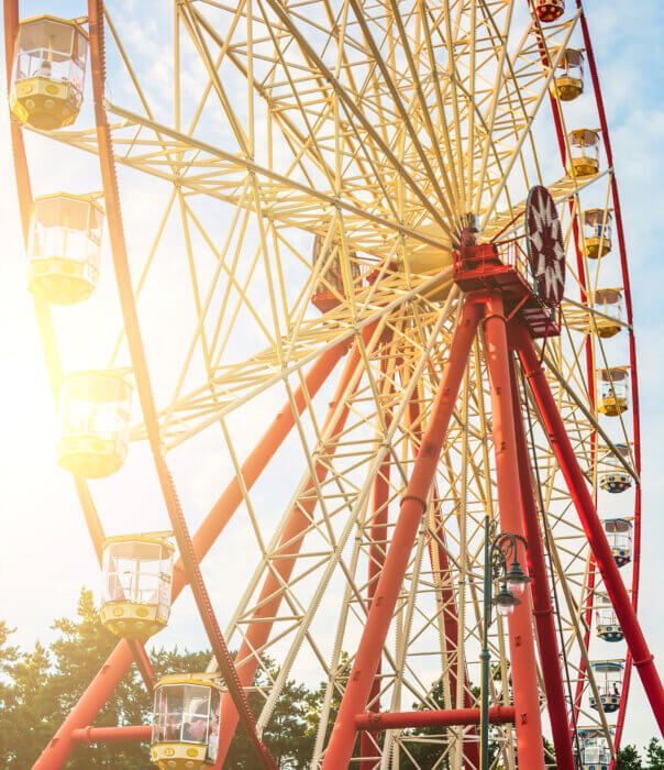 ferry wheel in park