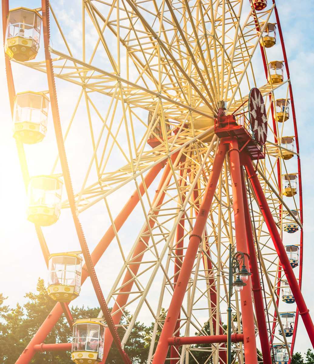 ferry wheel in park