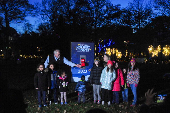 he Bronx Zoo kicked off its annual "Holiday Lights" celebration on Tuesday.