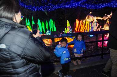 The holiday light show inlcudes a holiday tree that shows synchronised musical light performances, in addition to a light tunnel visitors can walk through. In addition, visitors will also have the chance to see wildlife-themed puppets and participate in trivia at the Dancing Crane Pavilion.