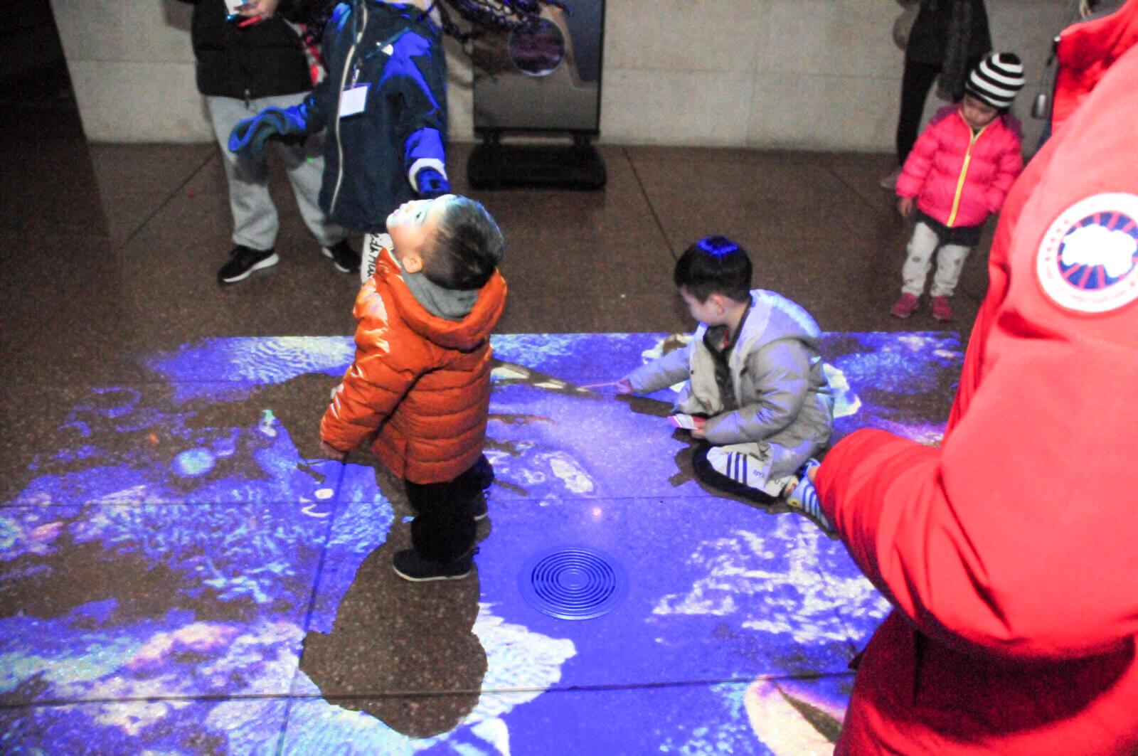PHOTOS Holiday Lights brings seasonal cheer to the Bronx Zoo Bronx
