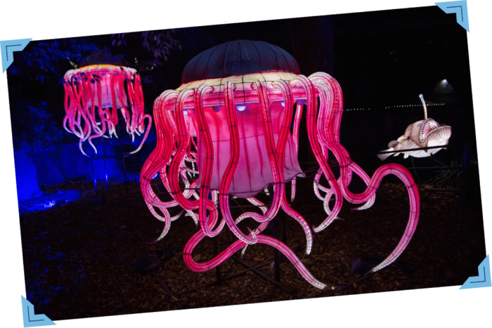 Don't miss out in the all-new experience dedicated to bioluminescent life.