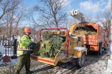 The city’s annual “tree-cycling” program, Mulchfest, starts Dec. 26.