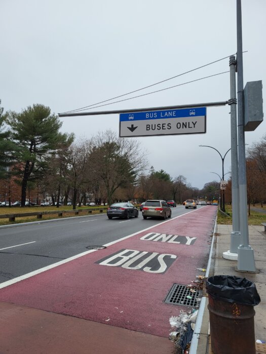 One of the project's most noticeable changes is the dedicated bus lane for speedier, more reliable BX12 service. Photo Emily Swanson