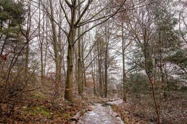 wave-hill_Forest-Bathing-in-the-Winter-Landscape_credit-Wave-Hill_md