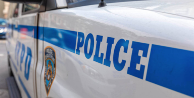 The 43rd Precinct sees a decline in almost all major crimes in the most recent 28 day period compared to last year.