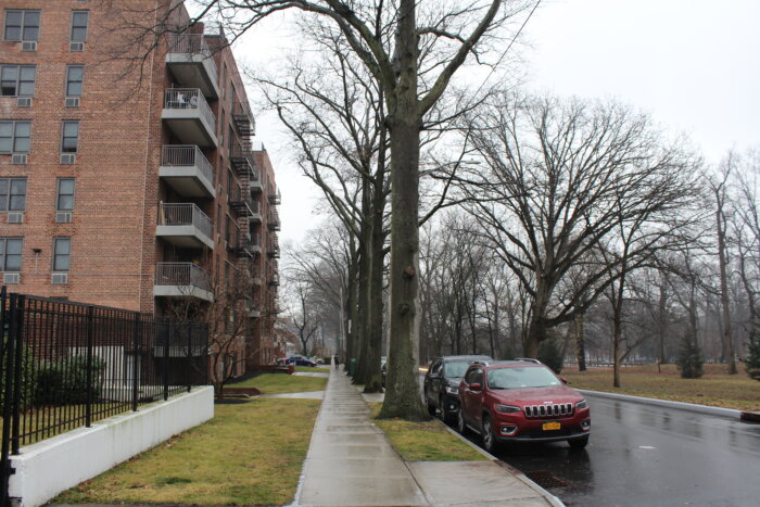 Cars line the streets of Pelham Parkway on Friday, Feb. 2, 2024.