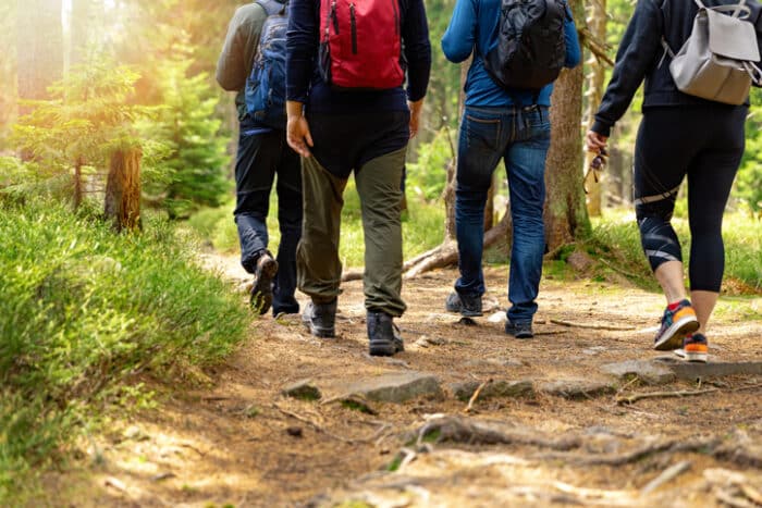 nature adventures – group of friends walking in forest with backpacks
