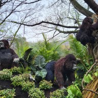 Bronx Zoo exhibit
