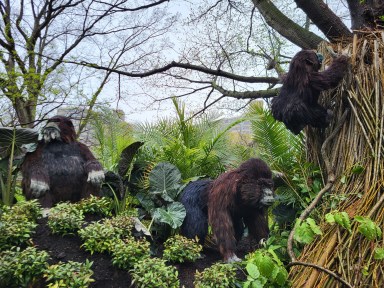 Bronx Zoo exhibit
