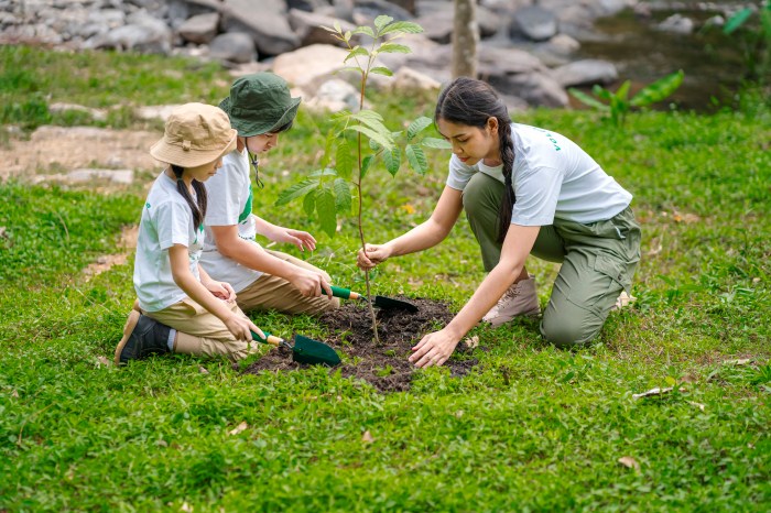 Children join as volunteers for reforestation, earth conservation activities to instill in children a sense of patience and sacrifice, doing good deeds and loving nature.