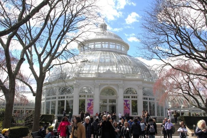 New Yorkers gather outside the Enid A. Haupt Conservatory to see the Orchid Show.