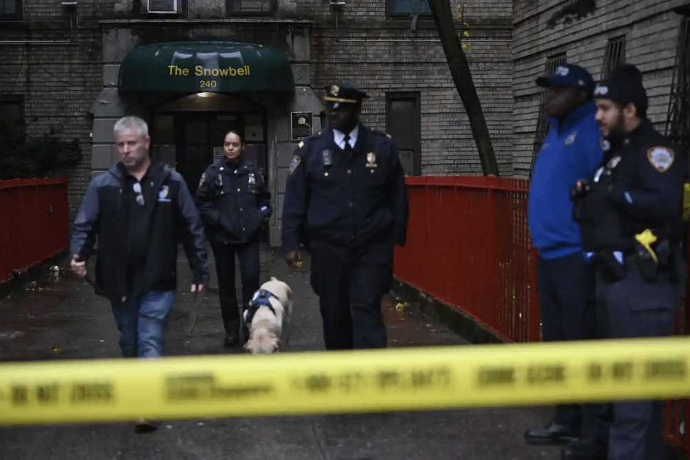 Bronx mother charged with murder after allegedly killing her 5-year-old ...