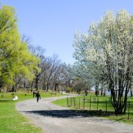 For nearly a decade poor cell service has plagued Pelham Bay Park in the Bronx.