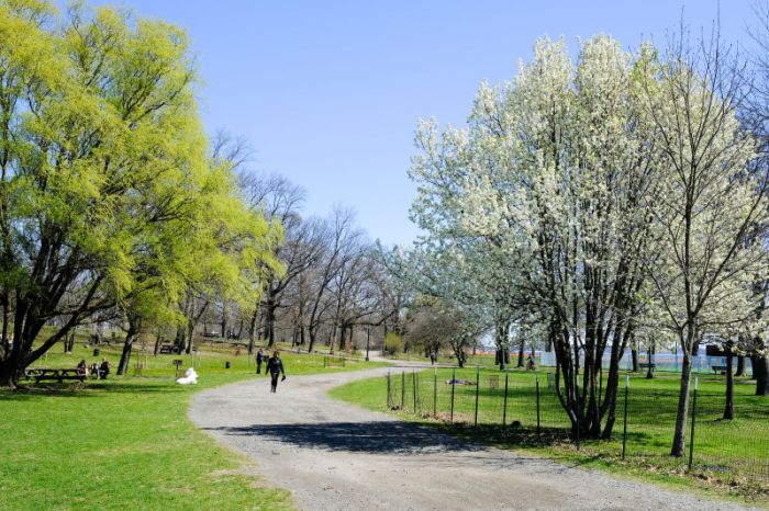 For nearly a decade poor cell service has plagued Pelham Bay Park in the Bronx.
