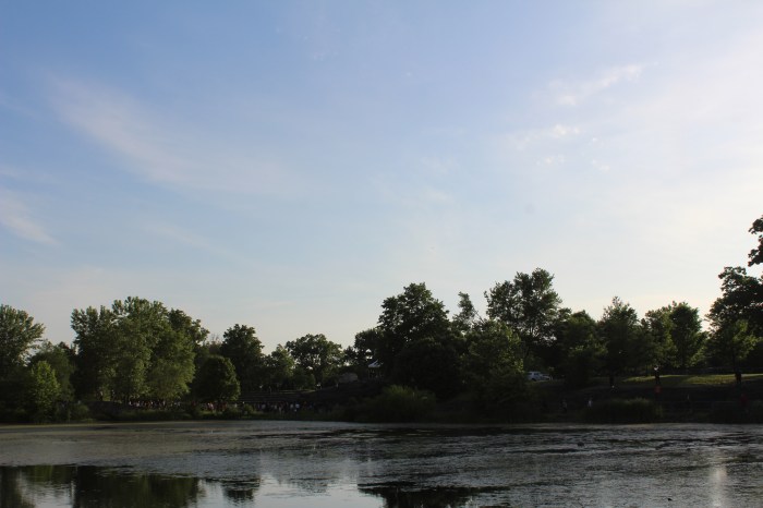 Former President Donald Trump hosts a campaign rally in the Bronx's Crotona Park on Thursday, May 23, 2024.