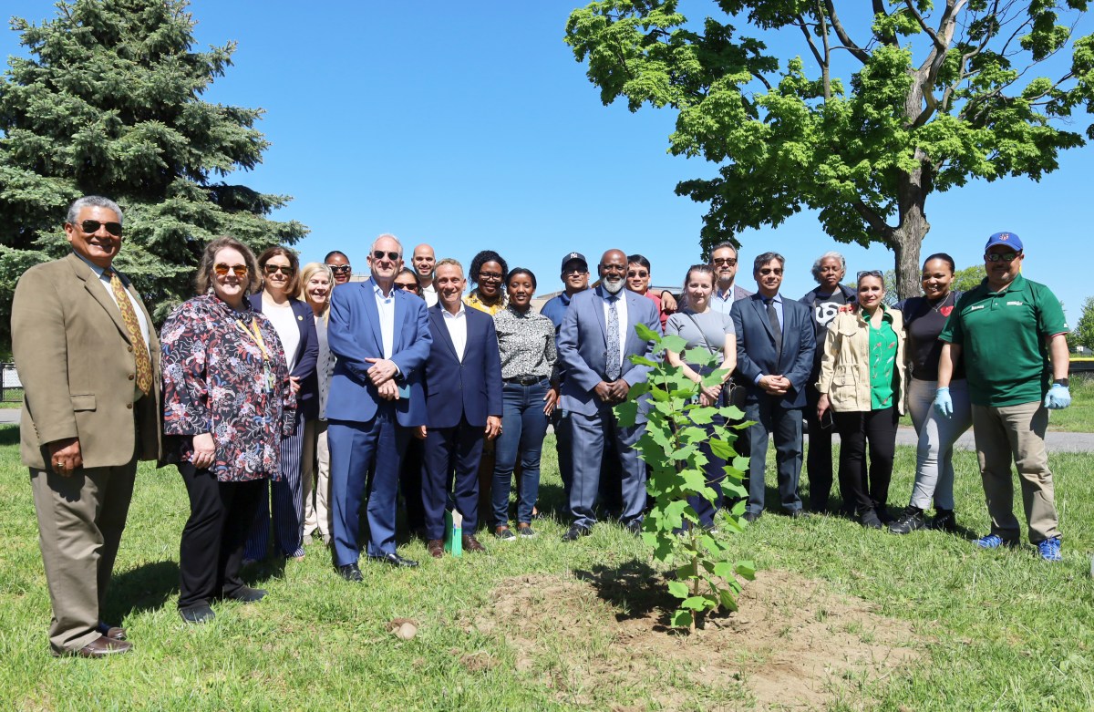 The faculty at BCC was over the moon as they planted their very own moon tree from NASA -- they named her Luna.