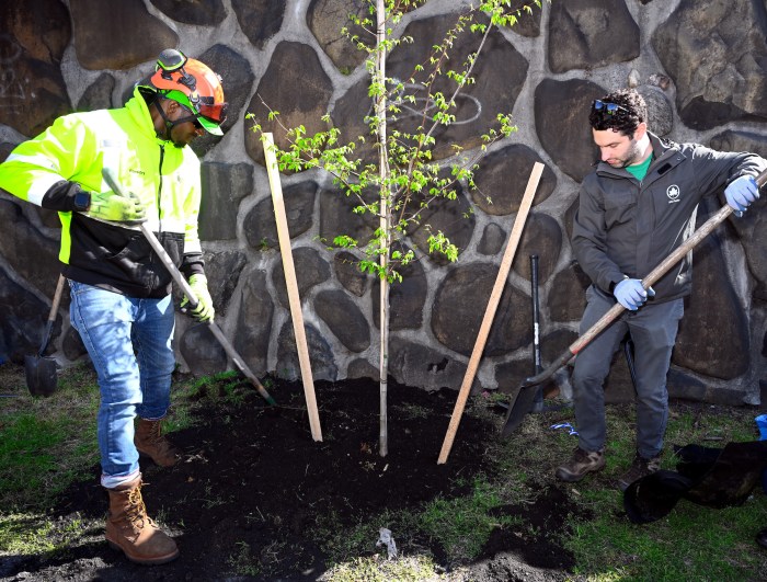 DSC_0177 Arbor Day Planting 4 26 24 MP