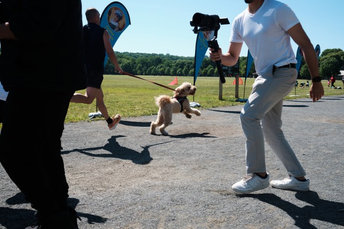 Runners and dogs race ahead during the Cristian Rivera Full Steam Ahead 5K in Van Cortlandt Park on June 15, 2024.