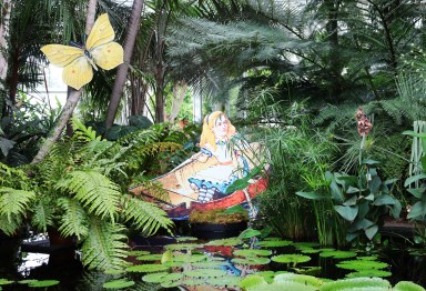 aliceinwonderland_rowboat