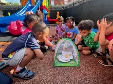 Children learn about caterpillars and butterflies at Birch Family Services Pelham Bay.