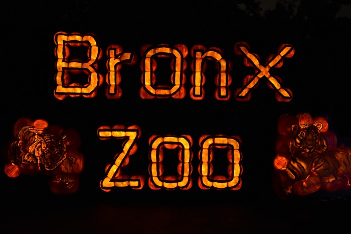 the words Bronx Zoo spelled out in pumpkin carving