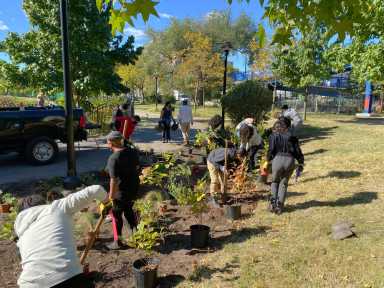 The Super Stewards will host a tree care instruction workshop this Saturday. Photo courtesy Bronx River Alliance