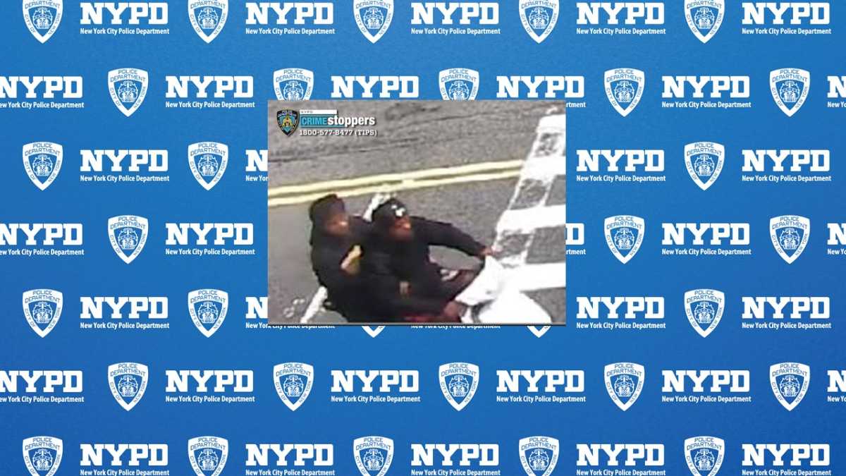 NYPD seeks two suspects in Bronx FedEx worker robbery near Einstein ...
