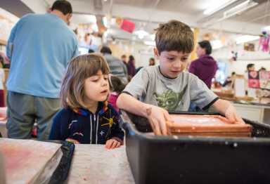 Wave Hill House is hosting a Seeds and Weeds Workshop this Sunday. Photo courtesy Joshua Bright