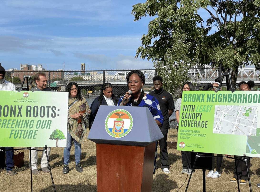 Bronx leaders rally for more trees in fight against urban heat and ...