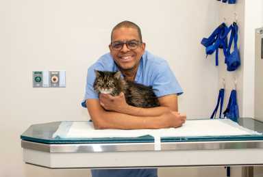 Phoenix_cat_Dion-Small_Director-Licensed-Veterinary-Technicians_May-2023_10a