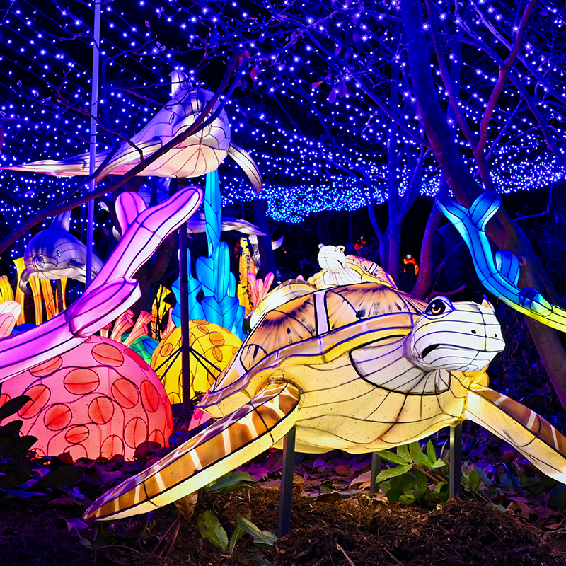 Column: It's the holiday season — Spend it in the Bronx – Bronx Times