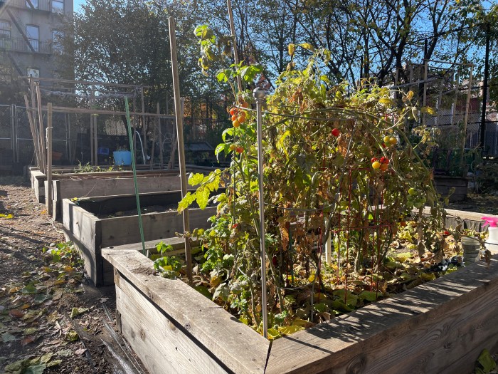 The contaminated site is next to the Melrose Rainbow Garden and P.S. 29 where elementary school children play outside at recess.