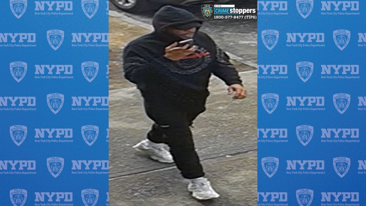 Thief stole shopping cart with 40k in cashiers checks from 85 year-old-woman, cops say – Bronx Times