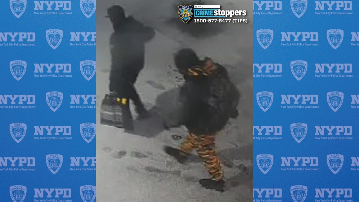 314-25 Robbery 40 Pct 01-19-25 Both Individuals Image 4