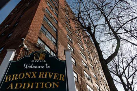 Bronx addition