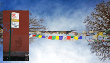 losar-asp