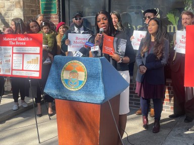 Borough President Vanessa Gibson joined maternal healthcare professionals and advocates Wednesday in calling for a Bronx birthing center to serve the borough which has some of the worst birth related health outcomes in the state.