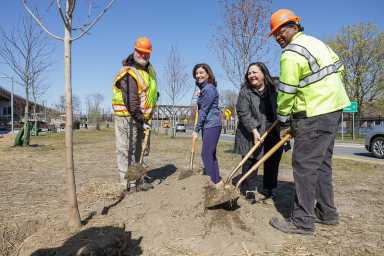 arbor day