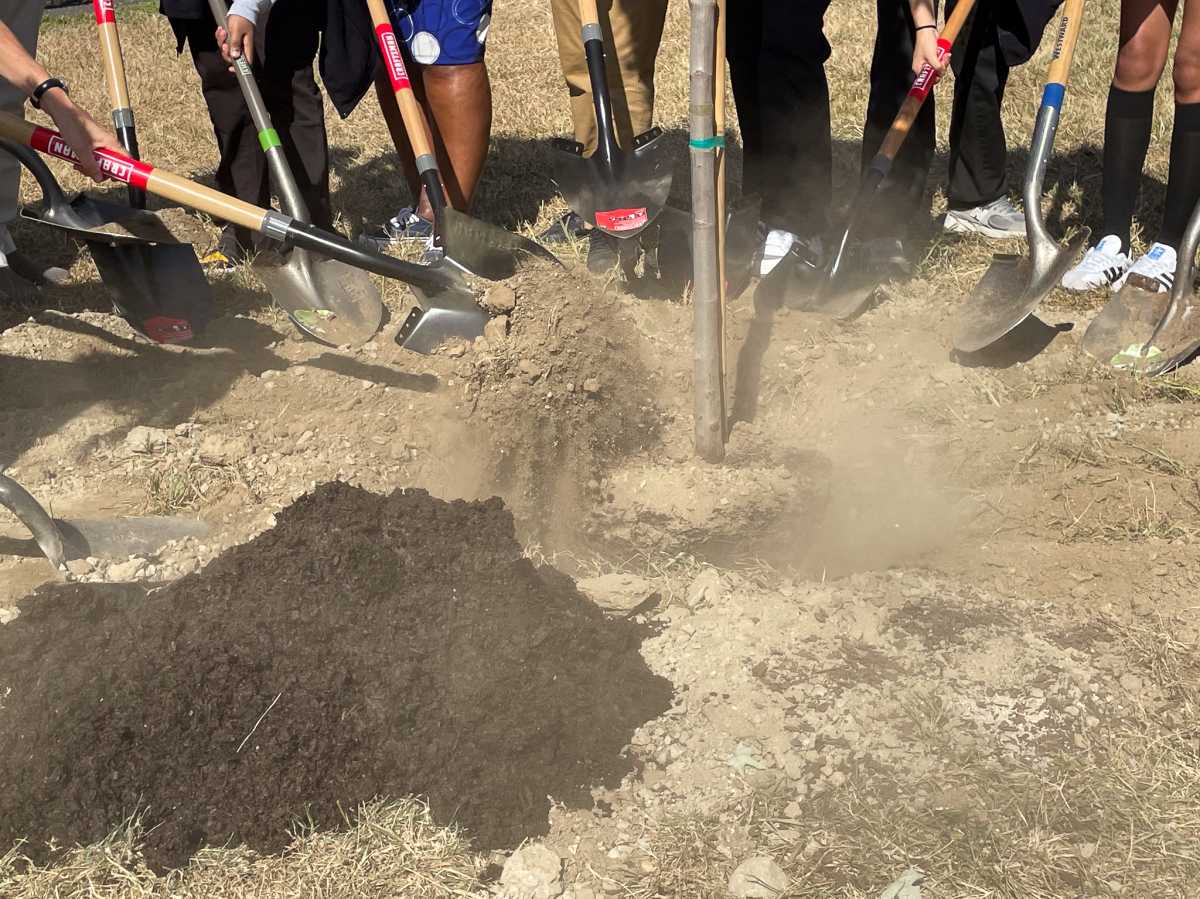 Arbor Day Picture