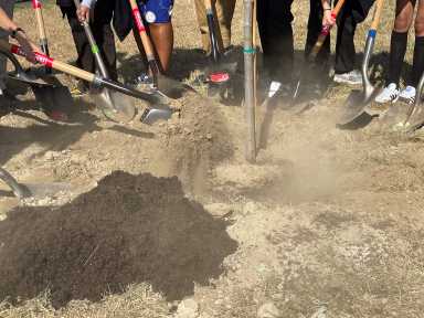 Arbor Day Picture